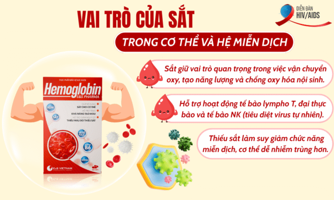 Vai trò của Sắt trong cơ thể và hệ miễn dịch