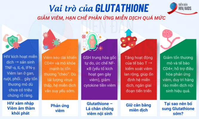 Glutathione giúp giảm viêm, hạn chế phản ứng miễn dịch quá mức
