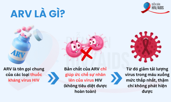 ARV là gì?