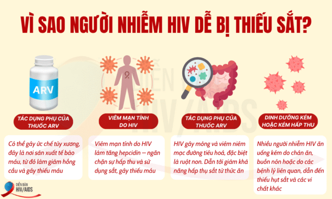 Người nhiễm HIV có nguy cơ thiếu Sắt không