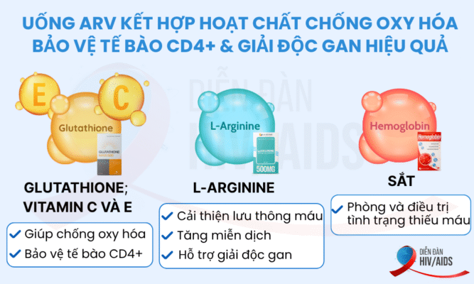 Uống ARV kết hợp hoạt chất chống oxy hóa bảo vệ tế bào CD4+ và giải độc gan hiệu quả